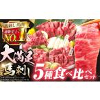 ふるさと納税 馬肉 熊本県 山都町 国産 馬刺し 計410g 約9人前 食べ比べセット 専用醤油付き 熊本県産馬刺し 冷凍 馬肉 馬刺 ヘルシー馬刺し 馬肉 ばさし 真空…
