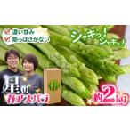 厳選 グリーン アスパラガス 約2kg