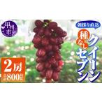 ふるさと納税 果物類 ぶどう 山梨県 甲州市  朝採り直送 クイーンセブン（種無し）2房（約800g） 平均糖度24度 2026年発送 （AF）B-459 クイーンセブン ぶどう…