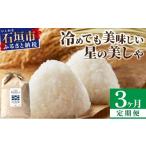 3ヶ月連続お届け 石垣島産 星の美しゃ ほしのかいしゃ 15kg