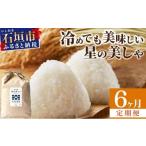 6ヶ月連続お届け 石垣島産 星の美しゃ ほしのかいしゃ 30kg