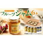 ジャム ブルーベリー 対馬のフルーツジャム 6本
