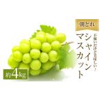 訳あり シャインマスカット 満杯詰め 約4kg以上