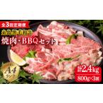 牛肉 焼肉 バーベキュー 全3回定期便 セット 計800g