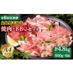 牛肉 焼肉 バーベキュー 全6回定期便 セット 計800g