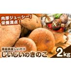 野菜類 きのこ じいじいのきのこ 2kg