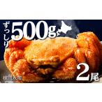 ふるさと納税 カニ 毛ガニ 北海道 浜頓別町 北海道産 毛ガニ 約500g×2尾 セット かに 蟹 毛蟹 冷凍 北海道産 浜頓別町