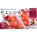 いちご 朝摘み やよいひめ 特大 デラックスサイズ 約300g×2…