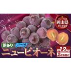 ぶどう 訳あり ニューピオーネ 約1.2kg