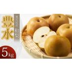 ふるさと納税 梨 山形県 鶴岡市 令和7年産先行予約 東荒屋産 豊水 (和梨) 5kg 山形県鶴岡市 鶴岡中央青果