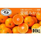 ふるさと納税 果物類 みかん 愛媛県 八幡浜市  太陽の恵みがギュッと凝縮 愛媛みかん10kg 小玉 農家直送 愛媛県川上産 F70-5 1440741
