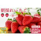 ショッピングふるさと納税 いちご ふるさと納税 いちご 茨城県 常陸太田市  先行予約 定期便 厳選いちご 2パック×3回発送 | 3ヶ月連続 定期便 苺 イチゴ 大粒 いちご 1月発送 2月発送 3月発送 …