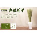 織物 繊維品 令和8年熊本地震復興支援 装飾い草