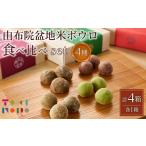 焼菓子 チョコレート クッキー サクッホロッ食感