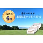 体験チケット 道後ゴルフ倶楽部 商品券 6 000円分