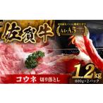 牛肉 炒め物 アレンジ満載 どんな食べ方でも光る味わい