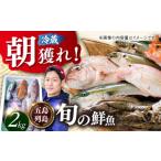 旬の鮮魚等 朝獲れ鮮魚セット2kg 五島列島直送