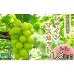 ふるさと納税 ぶどう マスカット 茨城県 茨城町 349 シャインマスカット 3房〜5房 1.2kg 平澤園芸