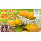 果物類 柿 品種おまかせ 採れたて天使の甘柿