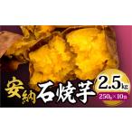 野菜類 サツマイモ 安納石焼芋 10袋セット