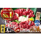 馬肉 馬刺し 6回定期便 大満足セット 上赤身 約50g×3