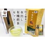 お茶類 緑茶 茶葉 ティーバッグ 種子島産 かんたん 田上製茶の水出し 有機煎茶セット