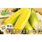 とうもろこし まるでフルーツ 特別栽培 トウモロコシ