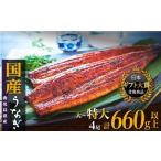 ふるさと納税 鹿児島県 大崎町 鹿児島県産うなぎ長蒲焼4尾 (合計660g以上）たれ たっぷり8袋付｜鰻 国産うなぎ蒲焼き うな重 ひつまぶし ウナギ 蒲焼 人気 お…