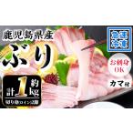 旬の鮮魚等 ぶり 切り身 1kg