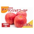 ふるさと納税 りんご 青森県 五所川原市 訳あり りんご10kg 程度 2026年1月後半発送 サンジョナゴールド 青森 不揃いリンゴ 1月後半発送（16日〜末日）