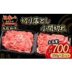 牛肉 すき焼き 鳥取和牛 切り落とし小間切れ 700g