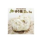 野菜類 ゆり根M-L混みサイズ1kg 2026年産