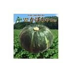 野菜類 かぼちゃ10kg 2026年産 3200702