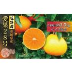 ふるさと納税 果物類 みかん 愛媛県 松山市  先行予約 あいか 訳あり ご家庭用 2.5kg 愛果28号 11月下旬から発送 | あいか 紅まどんな 紅マドンナ と 同品種 …