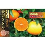 ふるさと納税 果物類 みかん 愛媛県 松山市  先行予約 愛果28号 化粧箱 8玉 から 12玉 11月中旬〜発送 あいか 紅まどんな 紅マドンナ と 同品種 高級 みかん …