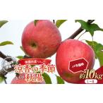 ふるさと納税 りんご 山形県 南陽市 令和7年産先行予約 〈訳あり品 家庭用〉 りんご 「涼香の季節または秋陽」 約10kg (28〜40玉) バラ詰め 《令和7年9月下旬…