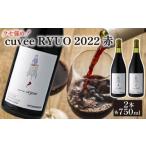 ふるさと納税 ワイン 赤ワイン 滋賀県 竜王町 ワイン 2本 セット cuvee RYUO 2022 キュベリュウオウ 2本 セット 750ml × 2本 赤 ワイン ライト ボディ 辛口 …