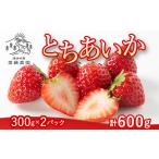ふるさと納税 いちご 栃木県 塩谷町 とちあいか(300g×2パック 計600g)風袋入り | 手作り 厳選 農家 特産品 新鮮 フレッシュ ストロベリー 苺 イチゴ 栃木…