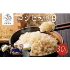 ふるさと納税 栃木県 塩谷町 《先行受付》令和6年産 コシヒカリ玄米30kg ｜ 米 お米 国産 栃木県 塩谷町※2024年9月下旬頃より順次発送予定※着日指定不可