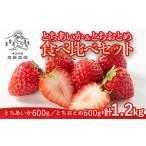 ふるさと納税 いちご 栃木県 塩谷町 とちあいか600g&とちおとめ600g 食べ比べセット 計1.2kg 風袋入り | 人気 2品種 食べ比べ 手作り 厳選 農家 特産品 新鮮…