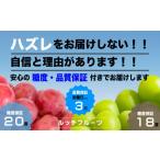 ふるさと納税 ぶどう マスカット 山梨県 笛吹市 全房糖度保証付 希少品種クイーンニーナとシャインマスカット食べ比べ 合計約2kg 2〜5房 2025年発送 数量限定…