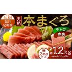 マグロ 定期便 全3回 隔月 お届け まぐろの王様