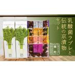 加工品等 漬物 西利 乳酸菌ラブレ20gと伝統の京漬物