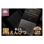 文房具 玩具 えんぴつ TWELVE BLACK