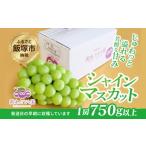 シャインマスカット 約750g