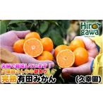 ふるさと納税 果物類 みかん 和歌山県 広川町 完熟 有田 みかん 訳あり 10kg 久幸園 / 温州みかん 有田みかん 甘い 家庭用 和歌山 柑橘 11〜12月順次発送 hsk…