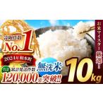 ふるさと納税 無洗米 熊本県 和水町  新米 令和7年産 熊本県産 ほたるの灯り 無洗米 10kg | 小分け 5kg × 2袋 熊本県 熊本 くまもと 和水町 なごみ 単一米 単…