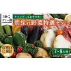 fu.... налог комплект *... Fukuoka префектура нить остров город кемпинг тоже рекомендация барбекю * решётка для утро .. овощи специальный отбор комплект Fukuoka префектура нить остров производство (7~8 человек минут ) нить остров город | бур...