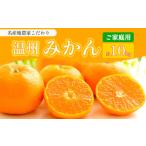 ふるさと納税 果物類 みかん 熊本県 玉名市 熊本県産 家庭用 みかん 約 10kg 下田農園 | フルーツ 果物 くだもの 柑橘 みかん ミカン 熊本県 玉名市