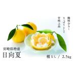 ふるさと納税 みかん・柑橘類 宮崎県 綾町 先行受付 初春の旬「日向夏」種なし 2.5kg / 日向夏 ひゅうがなつ 柑橘 フルーツ 綾町 宮崎県